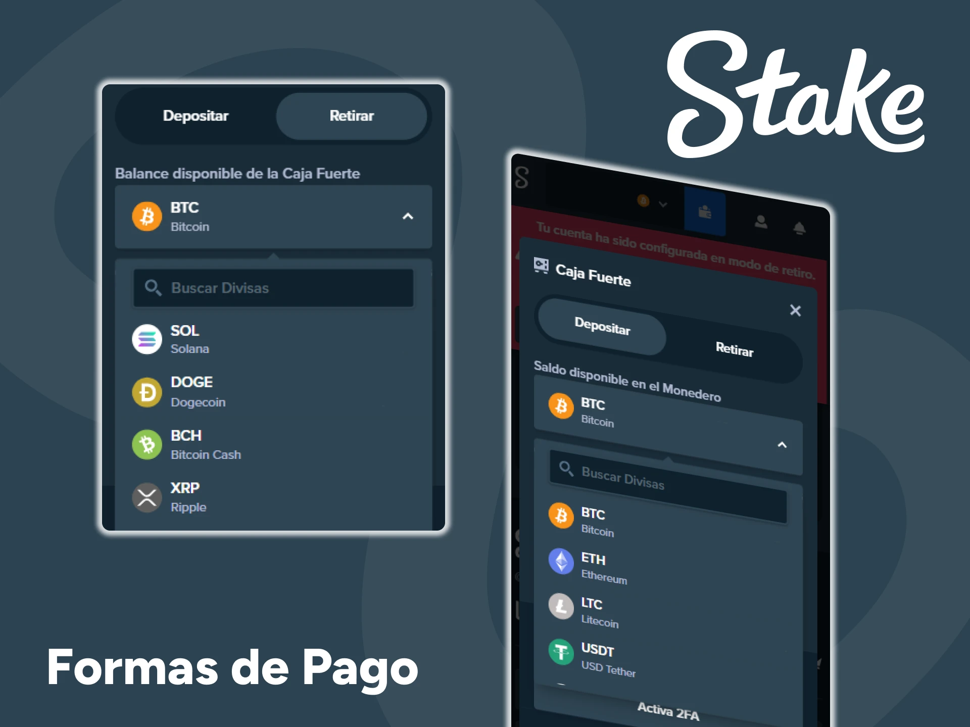 Compruebe los métodos de pago disponibles en la aplicación Stake.